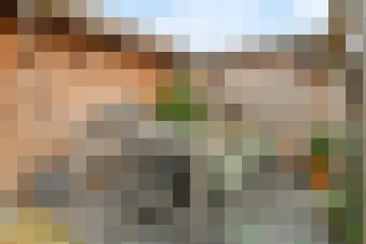 Kartuizerveld 19 Westmaas thumbnail 35