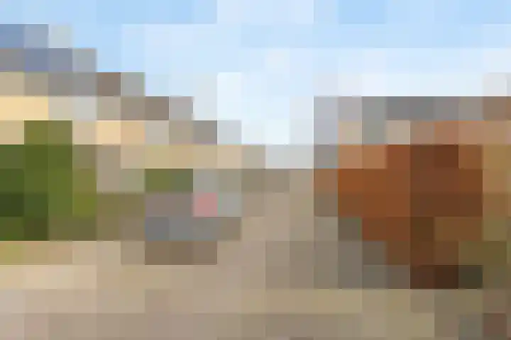 Kartuizerveld 19 Westmaas thumbnail 37