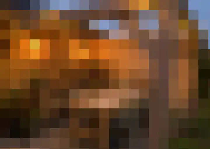 Kartuizerveld 19 Westmaas thumbnail 38