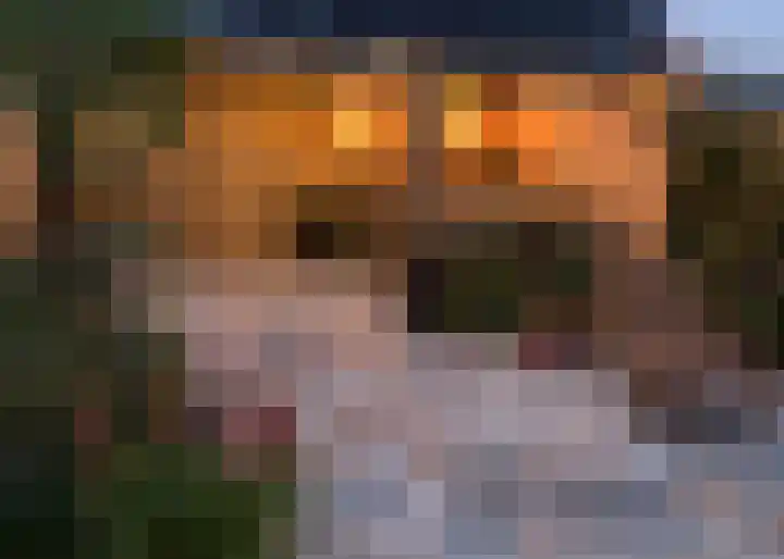 Kartuizerveld 19 Westmaas thumbnail 39