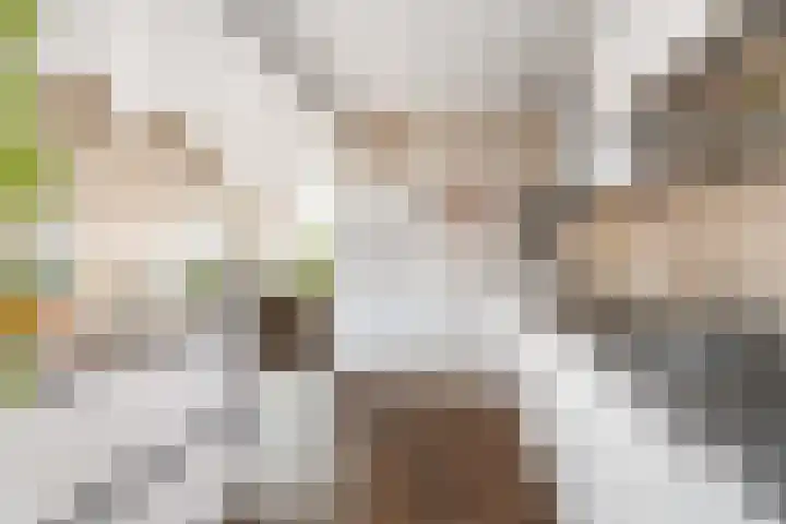 Kartuizerveld 19 Westmaas thumbnail 8