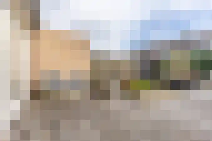 Kartuizerveld 30 Westmaas thumbnail 28