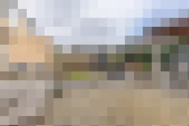 Kartuizerveld 30 Westmaas thumbnail 29