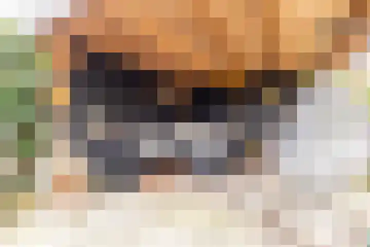 Kartuizerveld 30 Westmaas thumbnail 30