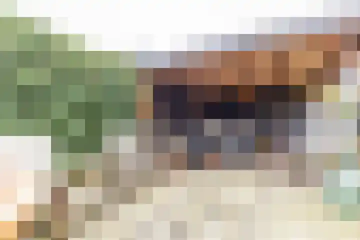 Kartuizerveld 30 Westmaas thumbnail 31