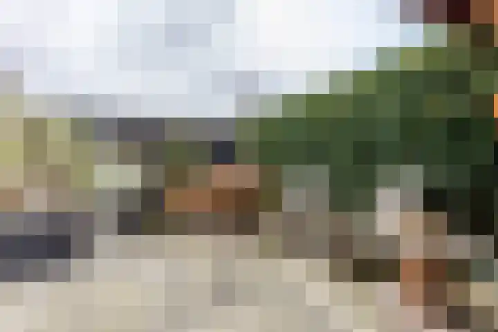 Kartuizerveld 30 Westmaas thumbnail 32
