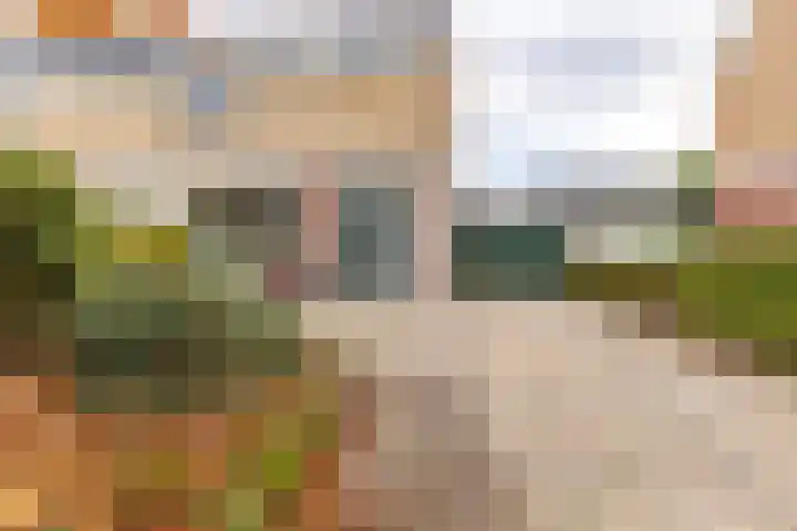 Kartuizerveld 30 Westmaas thumbnail 35