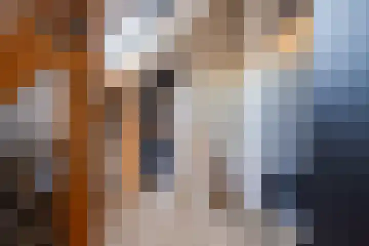 Karturf 14 Heerenveen thumbnail 37