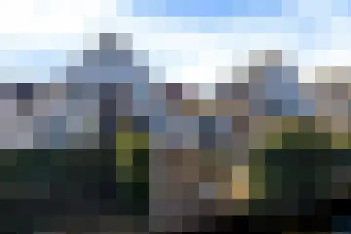 Karturf 14 Heerenveen thumbnail 4