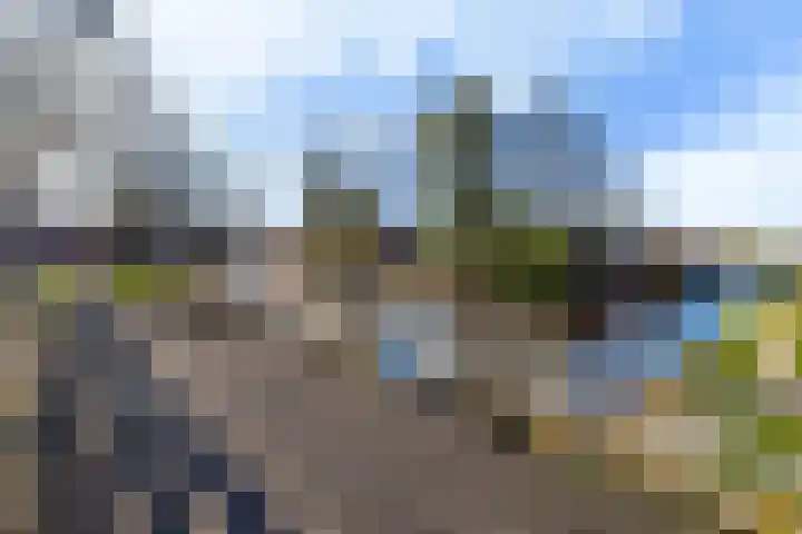 Karturf 14 Heerenveen thumbnail 44