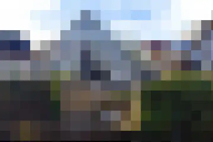 Karturf 14 Heerenveen thumbnail 5