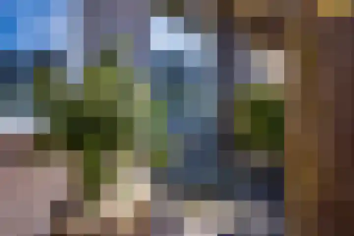 Karturf 14 Heerenveen thumbnail 9