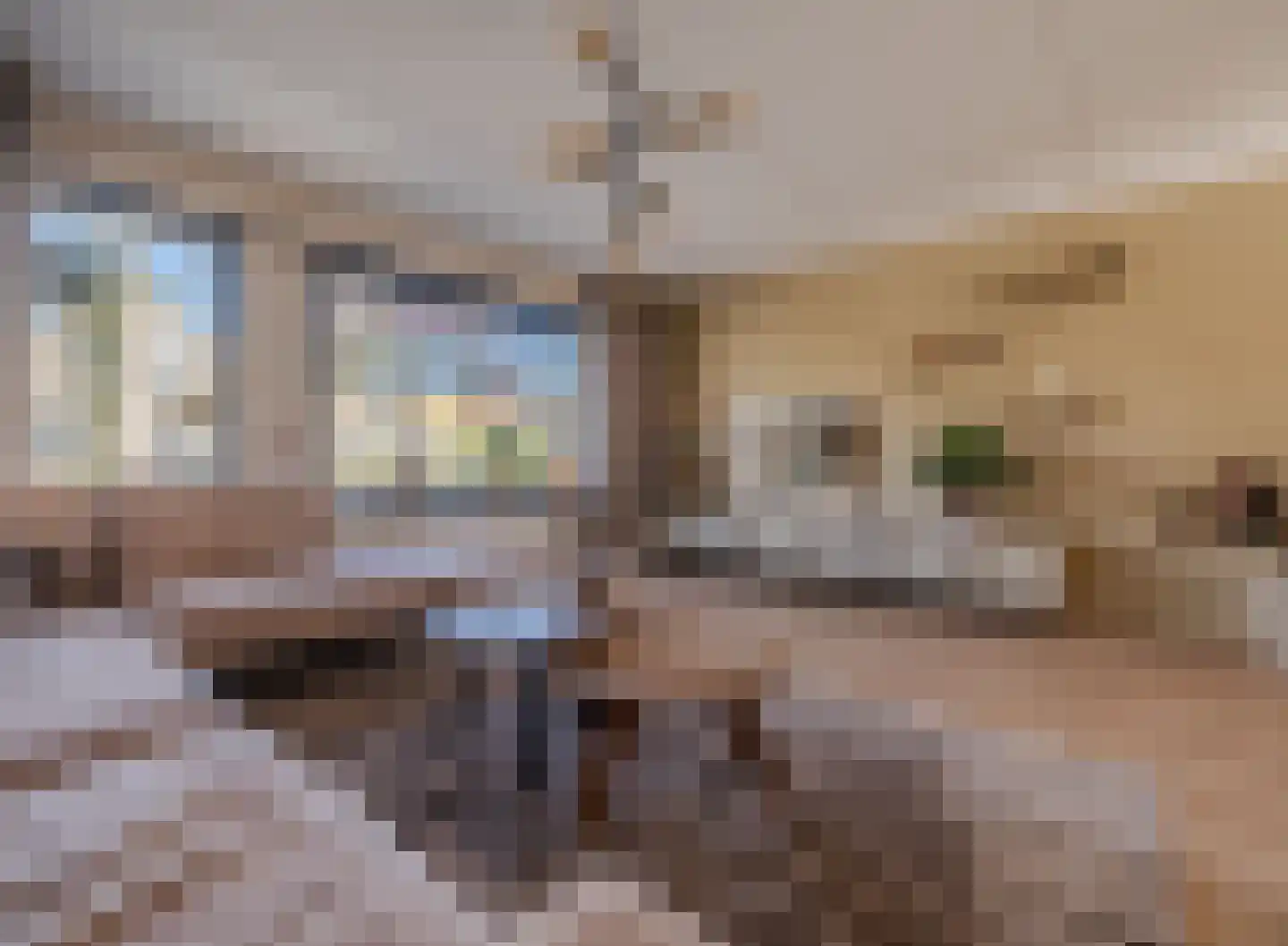 Karturf 3 Drachten thumbnail 11