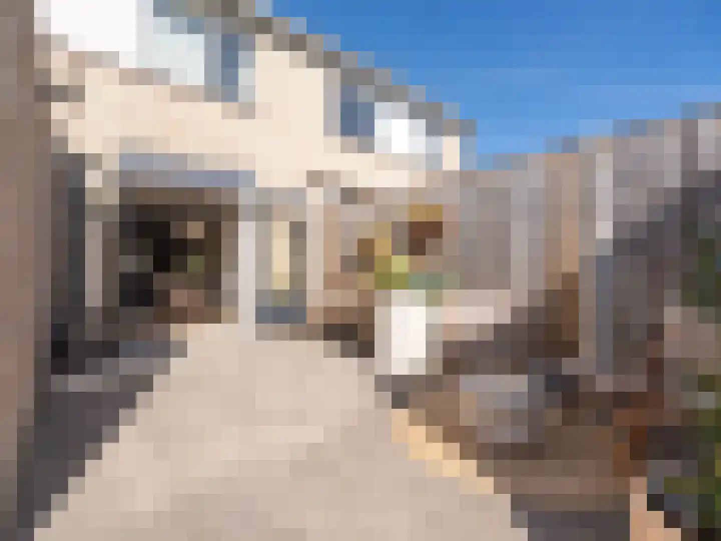 Karturf 3 Drachten thumbnail 41