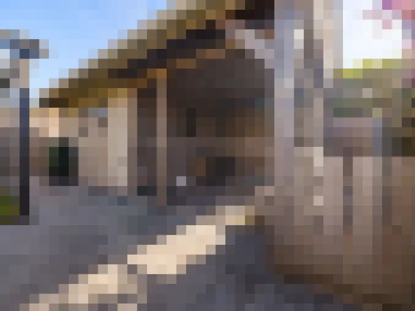 Karturf 3 Drachten thumbnail 47