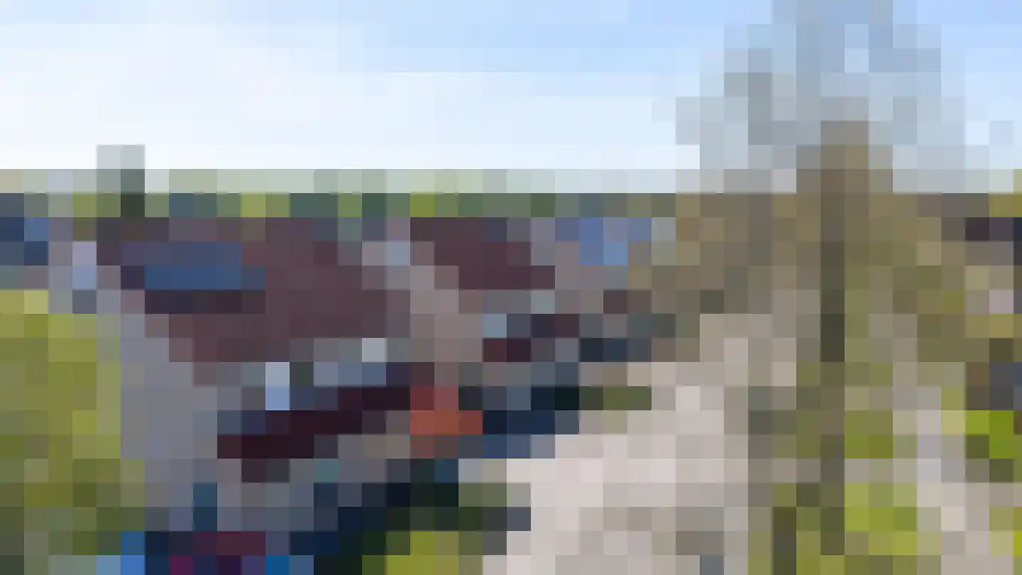 Karturf 3 Drachten thumbnail 48