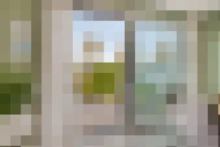 Karturf 56 Heerenveen thumbnail 15