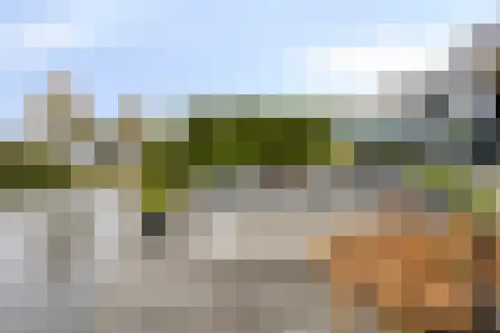 Karturf 56 Heerenveen thumbnail 33