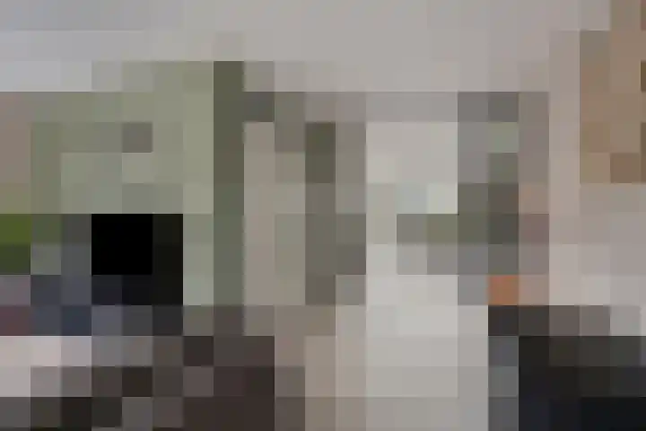 Karturf 56 Heerenveen thumbnail 8
