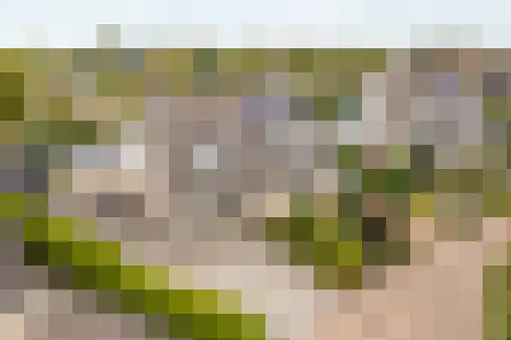 Karturf 68 Heerenveen thumbnail 39