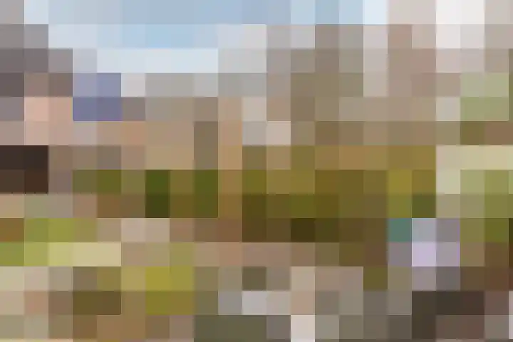 Karveel 07 75 Lelystad thumbnail 31