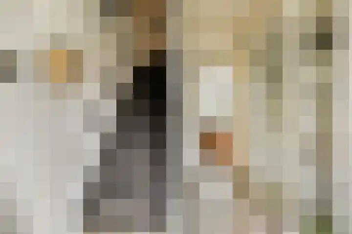 Karveel 1 Barendrecht thumbnail 10