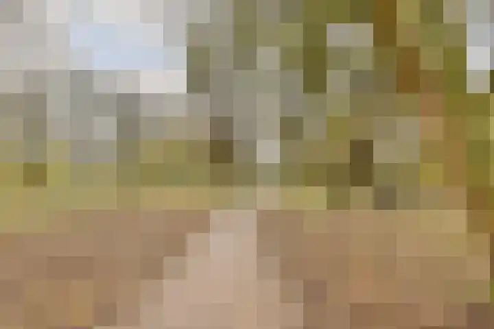 Karveel 1 Barendrecht thumbnail 33