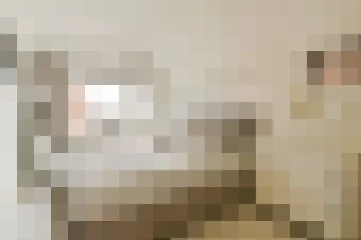 Karveel 1 Barendrecht thumbnail 6