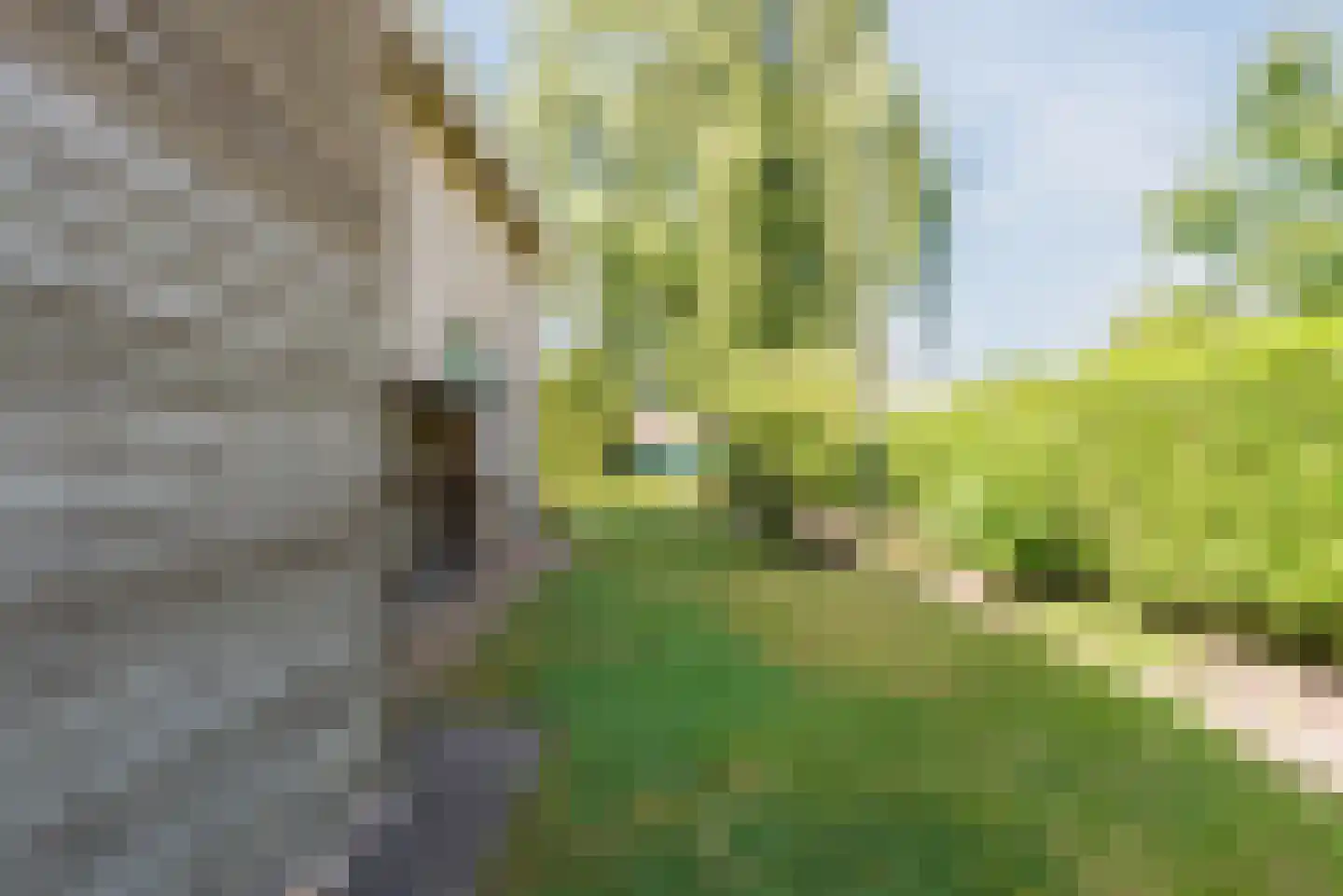 Karveel 10 12 Lelystad thumbnail 48
