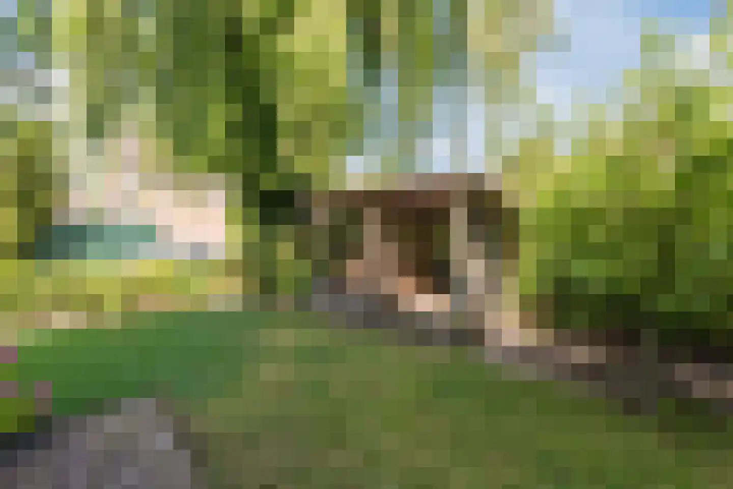 Karveel 10 12 Lelystad thumbnail 49