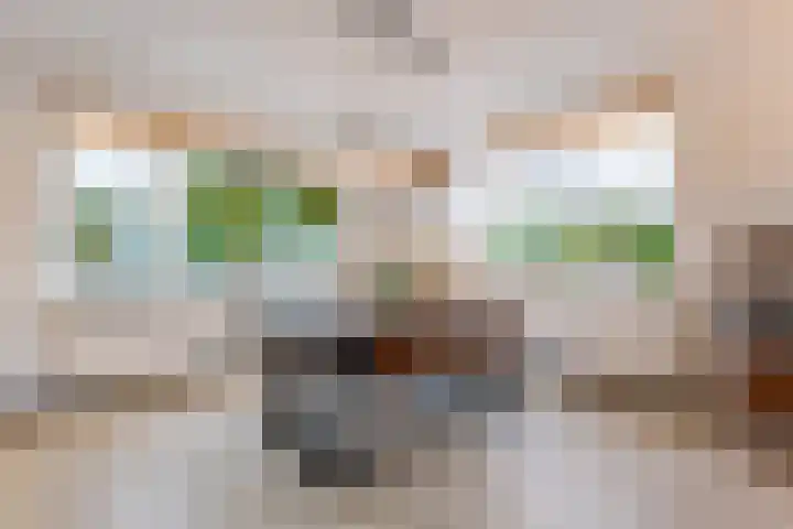 Karveel 10 16 Lelystad thumbnail 12