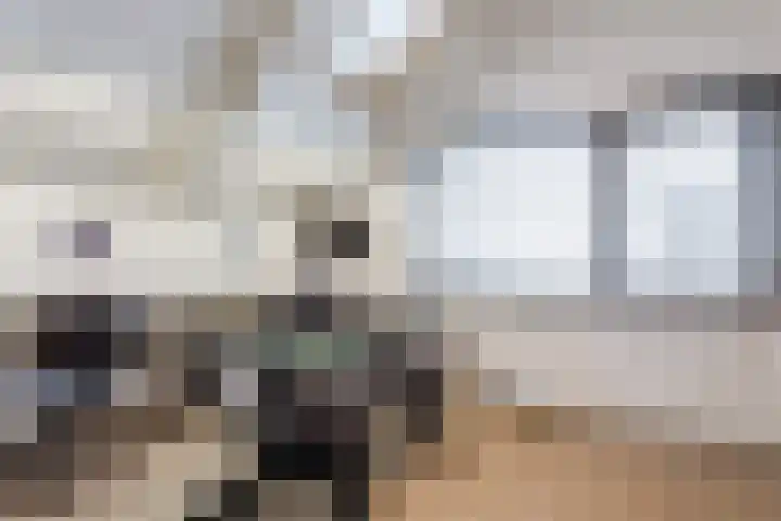 Karveel 10 16 Lelystad thumbnail 18