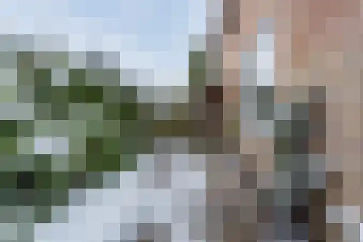 Karveel 10 16 Lelystad thumbnail 36