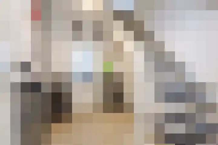Karveel 10 16 Lelystad thumbnail 7