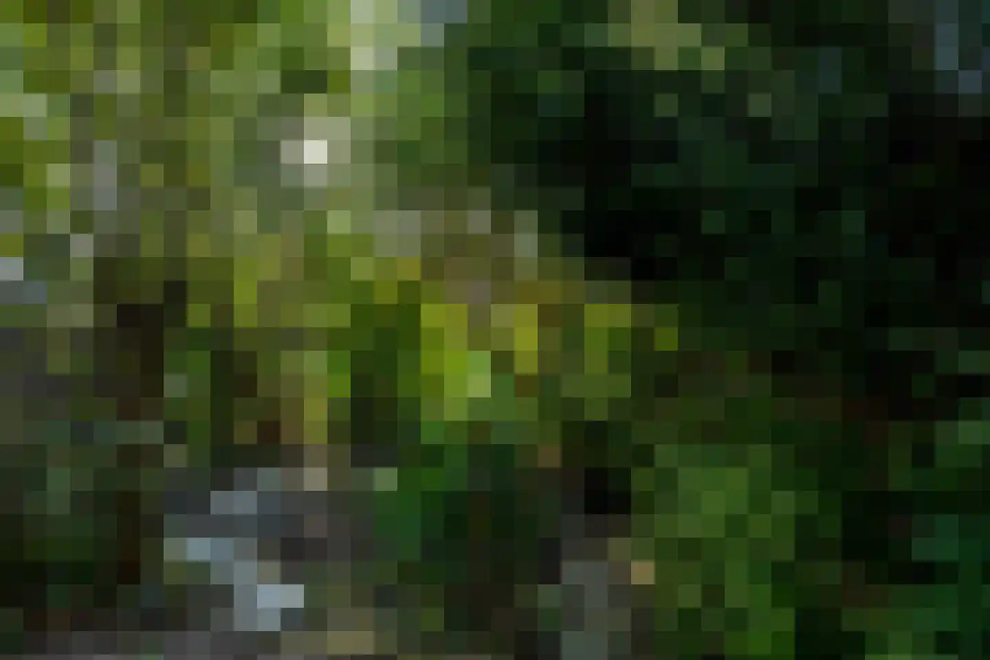 Karveel 10 Barendrecht thumbnail 28