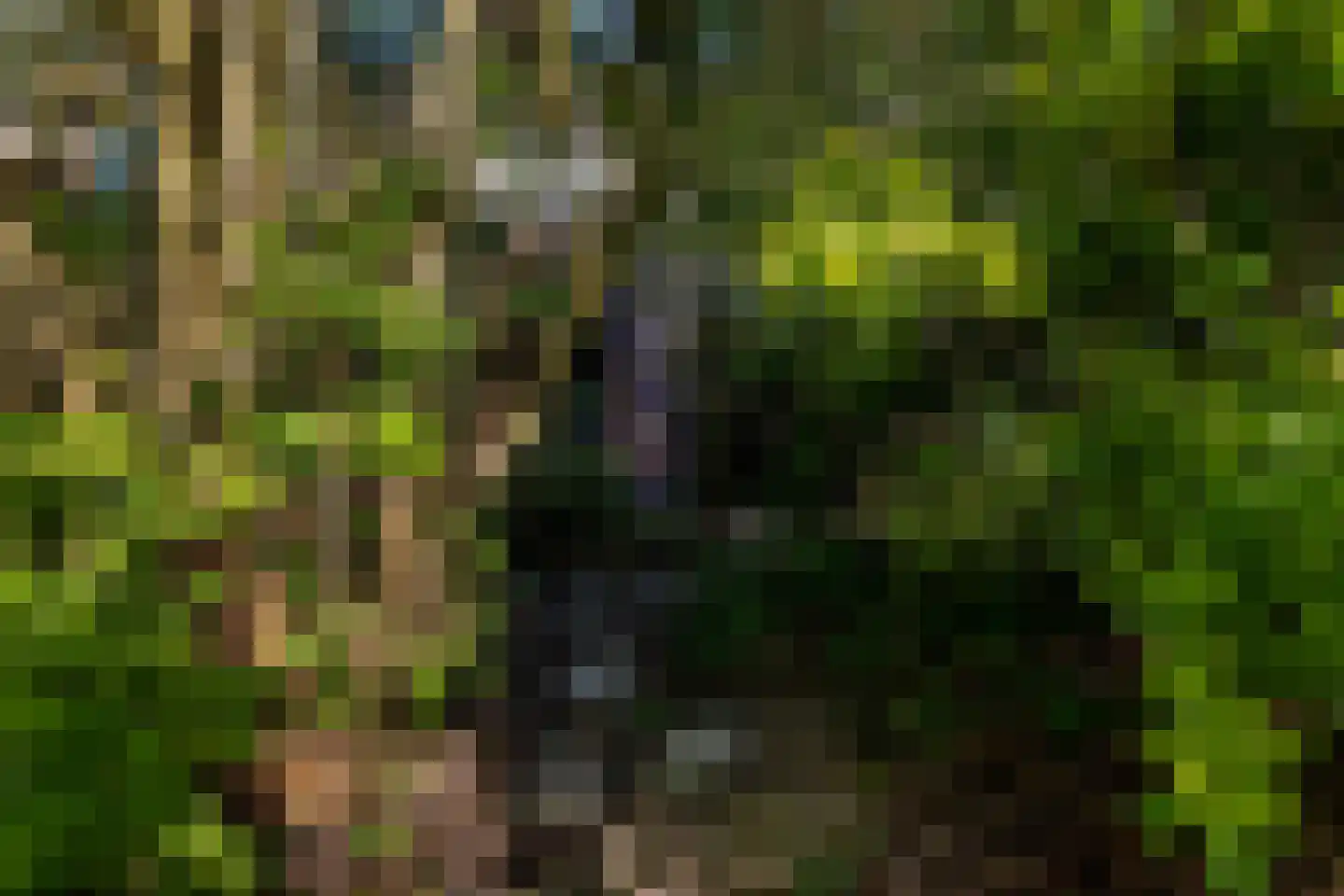 Karveel 10 Barendrecht thumbnail 31