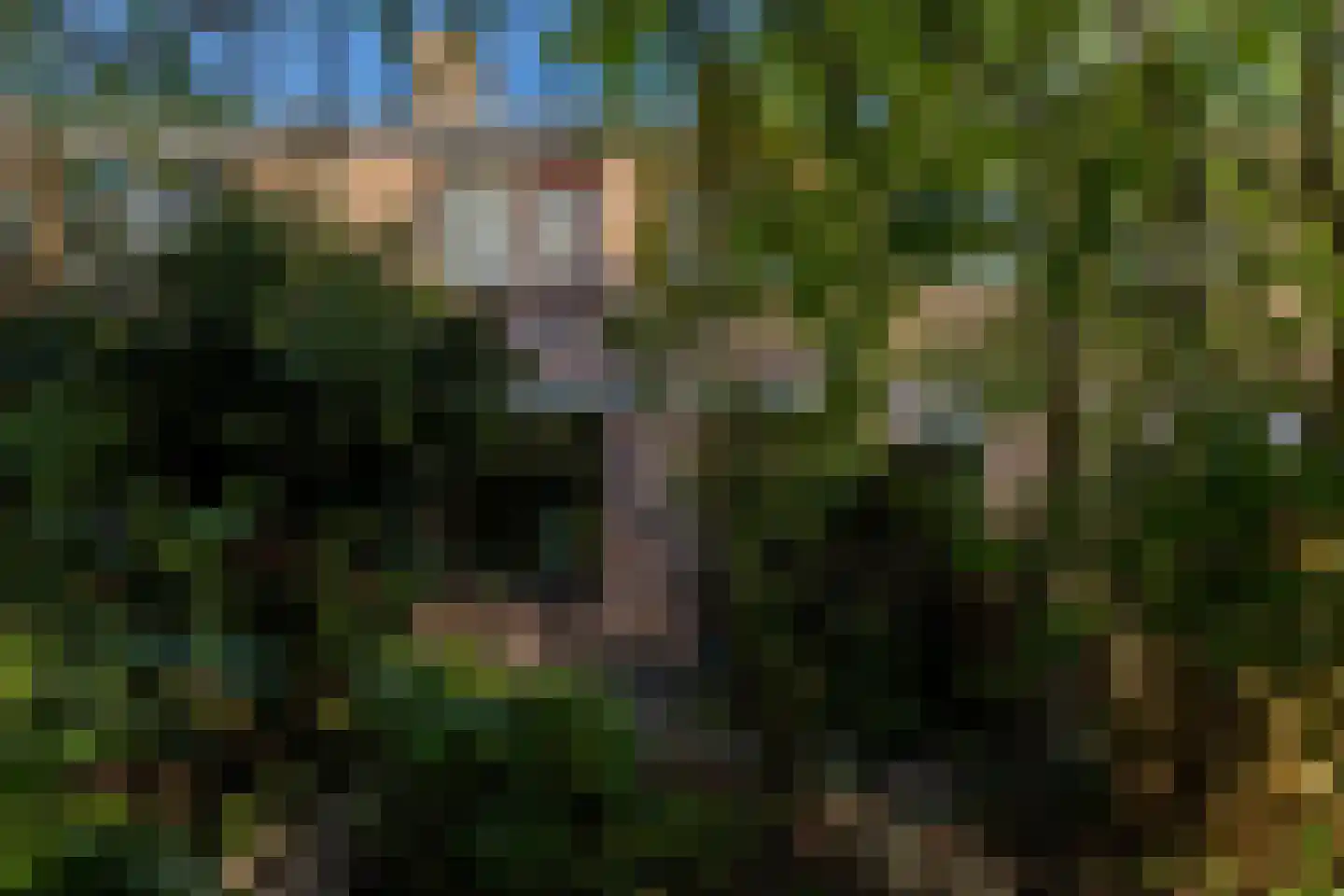 Karveel 10 Barendrecht thumbnail 32