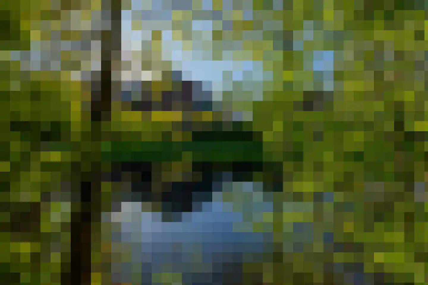 Karveel 10 Barendrecht thumbnail 4
