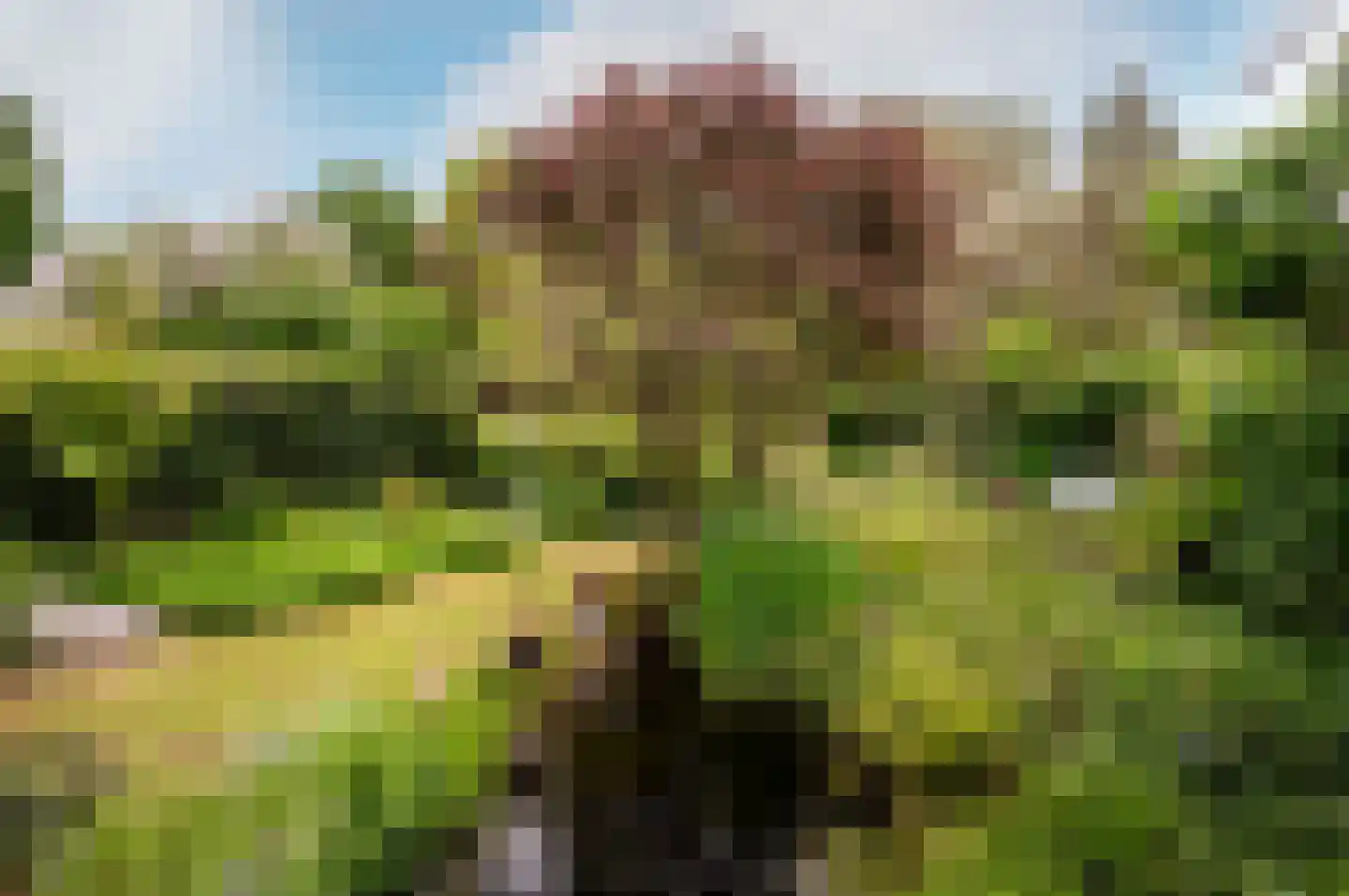 Karveel 12 34 Lelystad thumbnail 33
