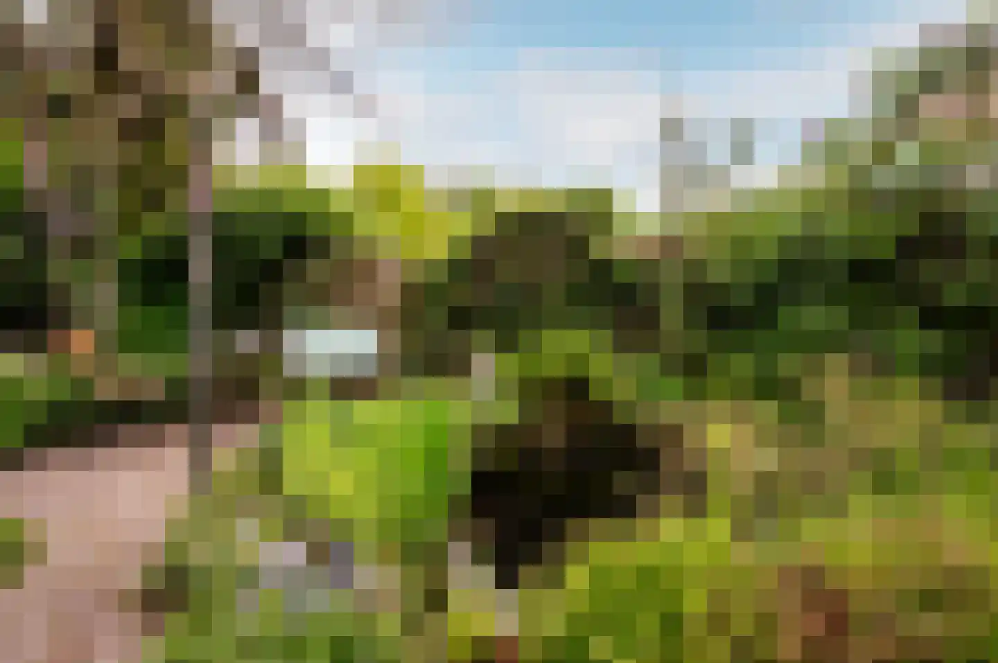 Karveel 12 34 Lelystad thumbnail 34