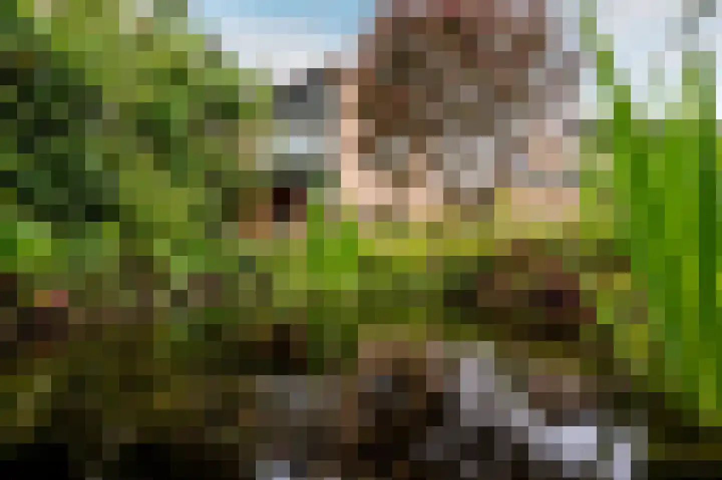 Karveel 12 34 Lelystad thumbnail 37