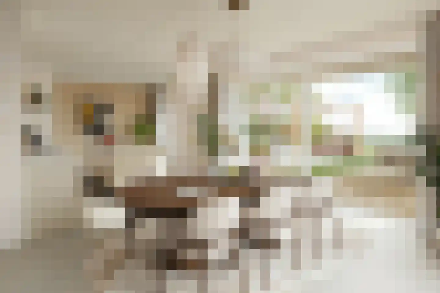 Karveel 14 Meerstad thumbnail 9