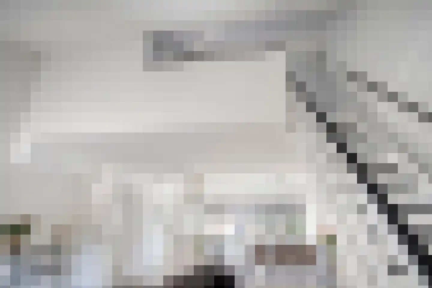 Karveel 15 16 Lelystad thumbnail 12