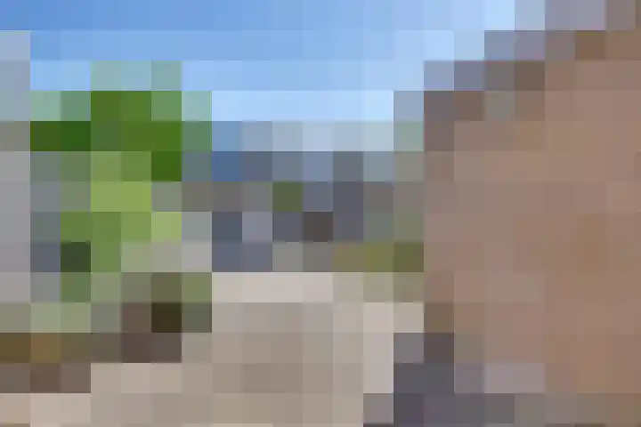 Karveel 15 60 Lelystad thumbnail 31