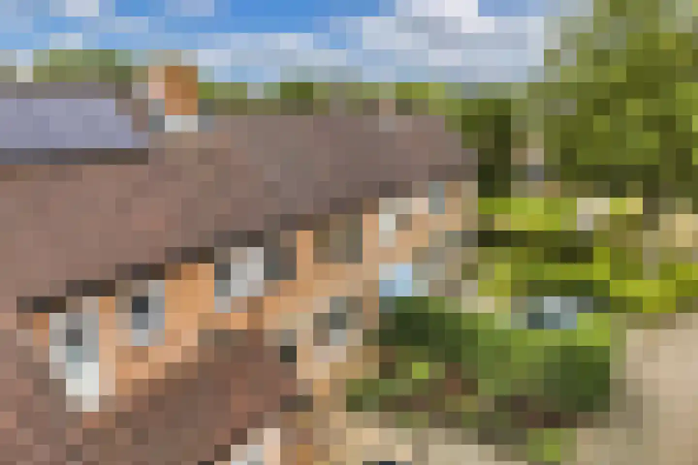 Karveel 18 Franeker thumbnail 11