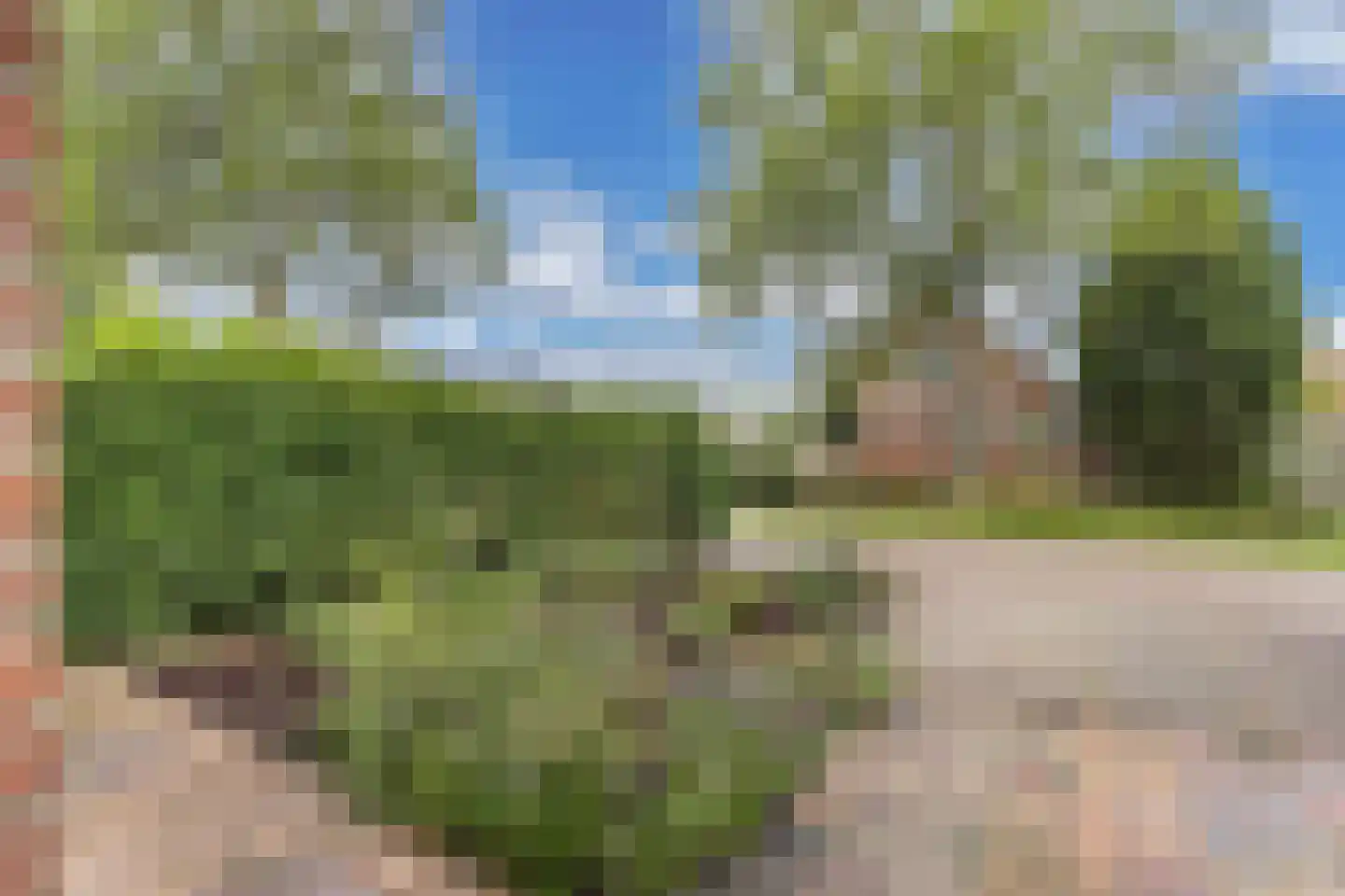 Karveel 18 Franeker thumbnail 12