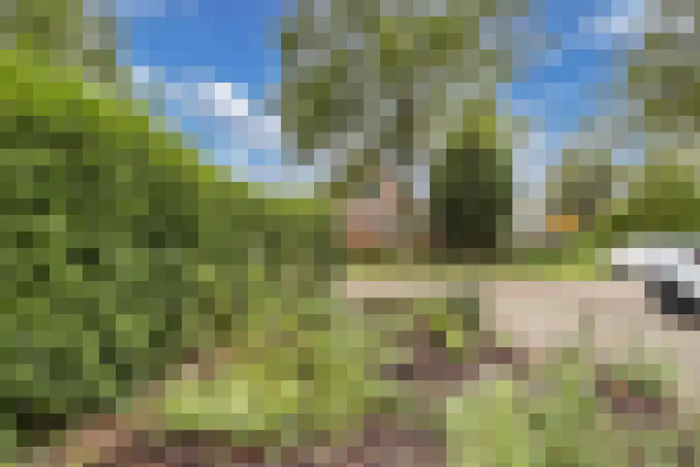 Karveel 18 Franeker thumbnail 13