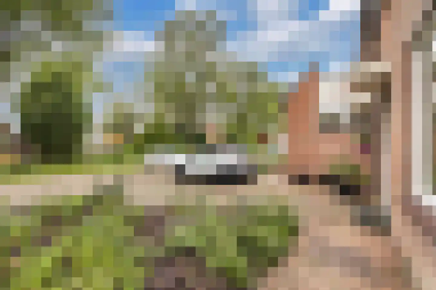 Karveel 18 Franeker thumbnail 14