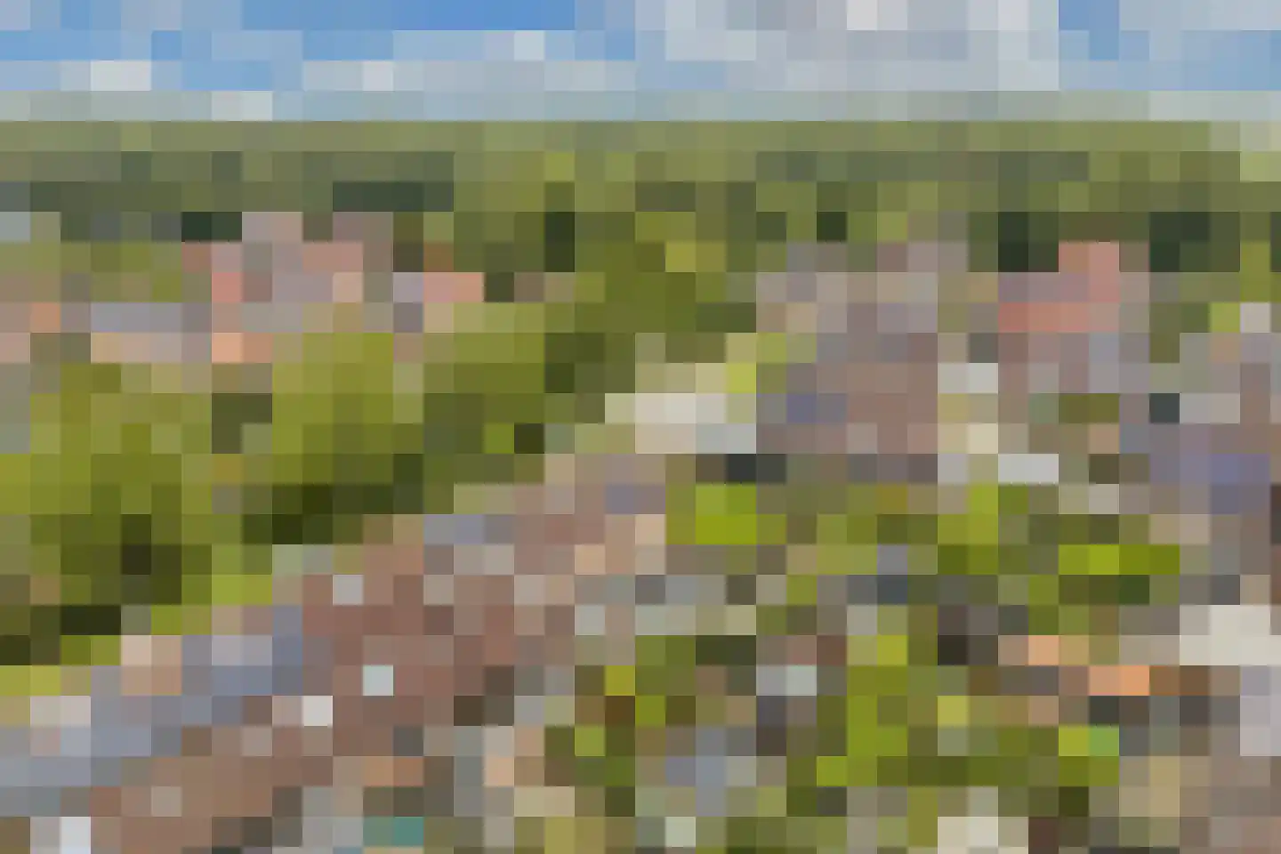 Karveel 18 Franeker thumbnail 58
