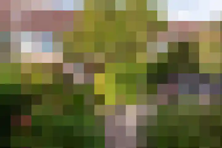 Karveel 20 20 3 Lelystad thumbnail 28